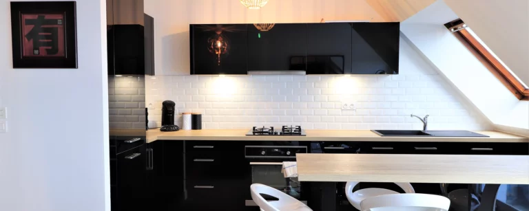 Cuisine et bar du logement en LCD Le Bondon